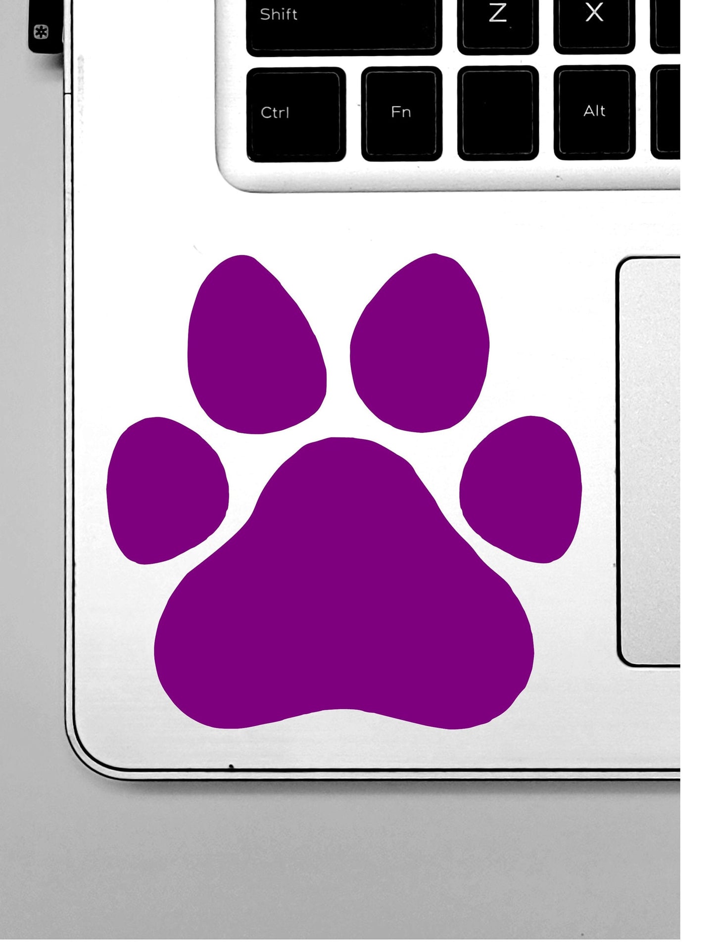 Paw Print Vinyl Decal, Car, Truck, RV, Camper, Laptop Sticker, Pet Lover Gift